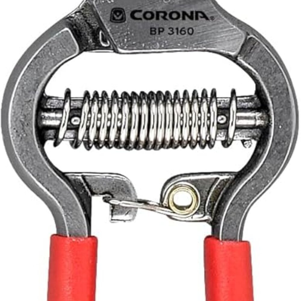 ClassicCUT Forged Bypass Hand Pruner, Red, 3/4"